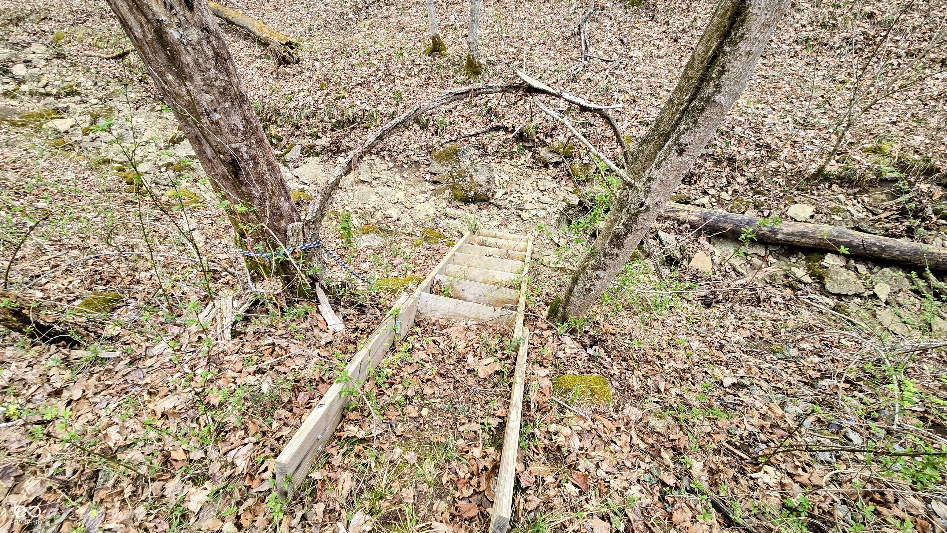 0 Bursot Branch Road Vevay, IN 47043 - Photo 15 of 45