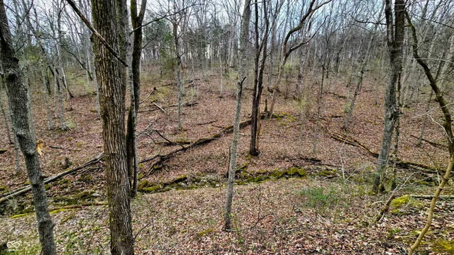 $274,000 | 0 Bursot Branch Road, Vevay, IN 47043