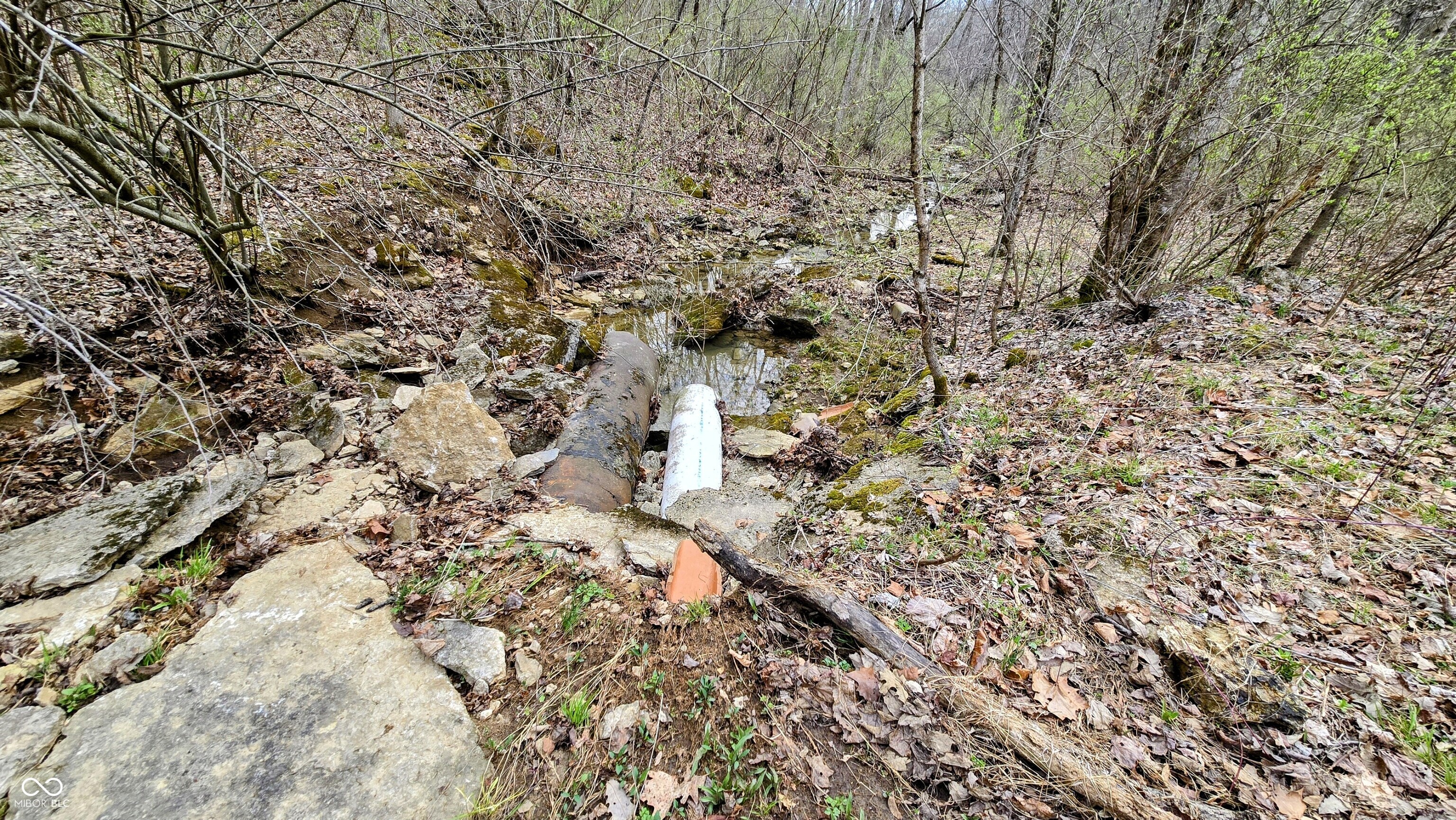 0 Bursot Branch Road Vevay, IN 47043 - Photo 17 of 45