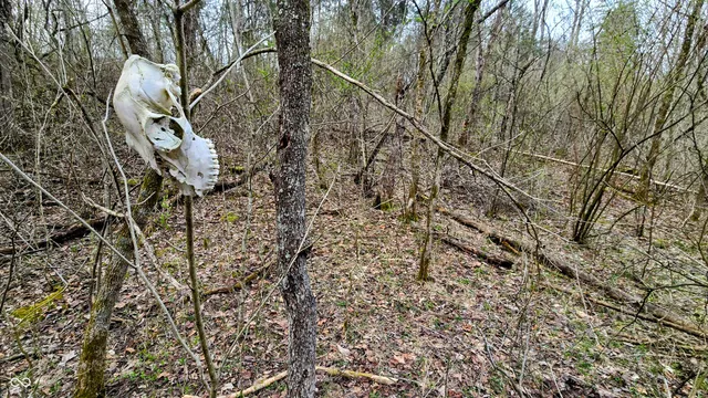 $274,000 | 0 Bursot Branch Road, Vevay, IN 47043