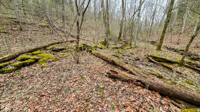 $274,000 | 0 Bursot Branch Road, Vevay, IN 47043