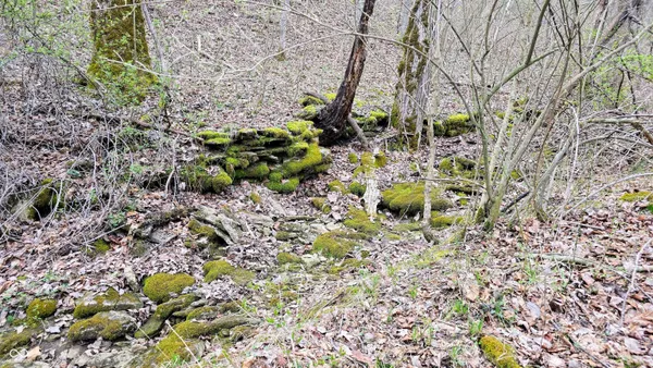 $274,000 | 0 Bursot Branch Road, Vevay, IN 47043
