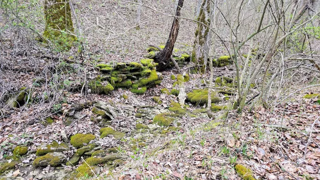 $274,000 | 0 Bursot Branch Road, Vevay, IN 47043