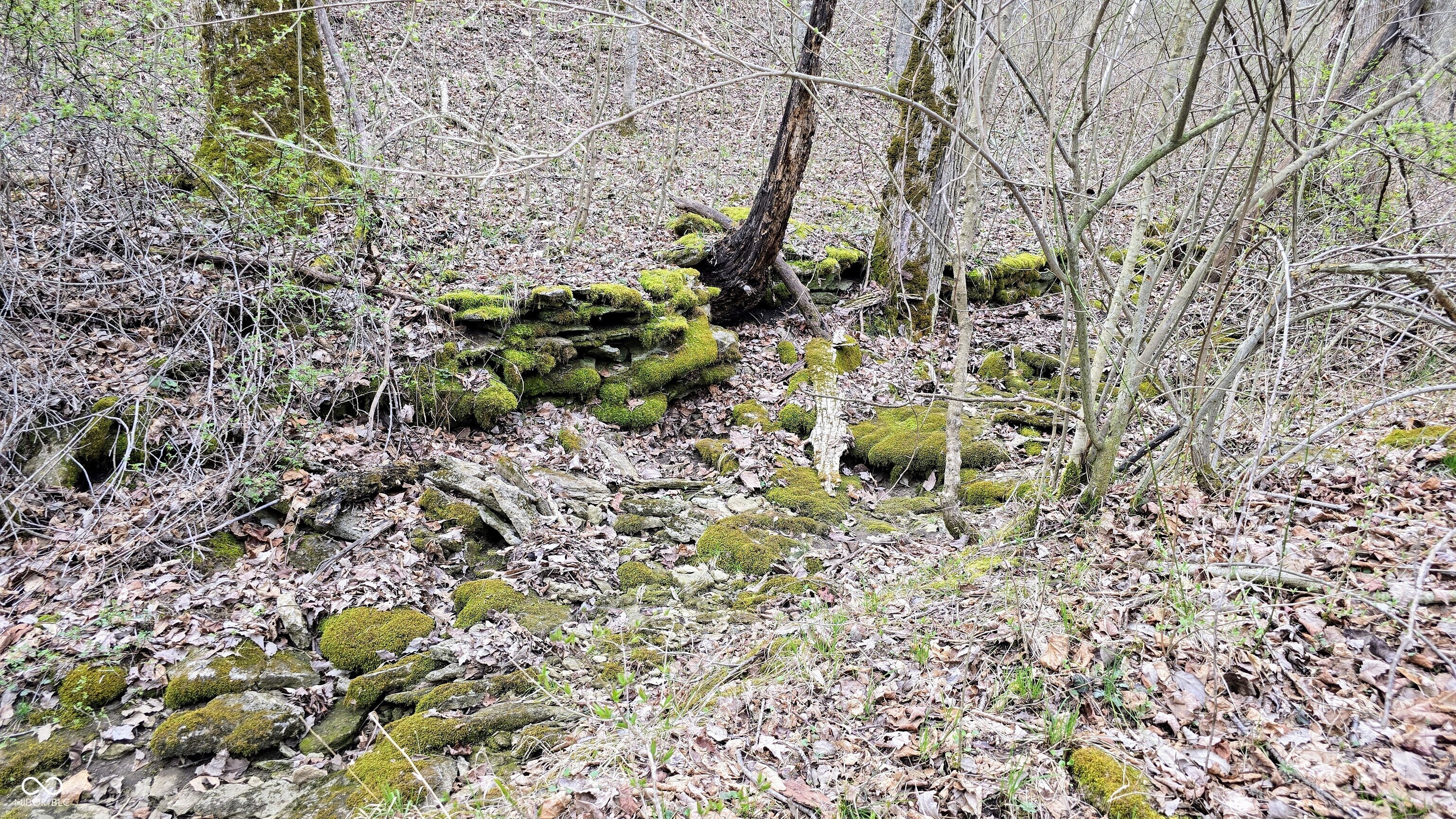 0 Bursot Branch Road Vevay, IN 47043 - Photo 20 of 45