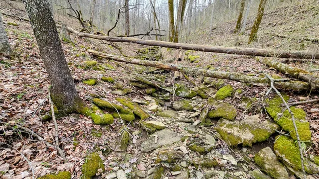 $274,000 | 0 Bursot Branch Road, Vevay, IN 47043