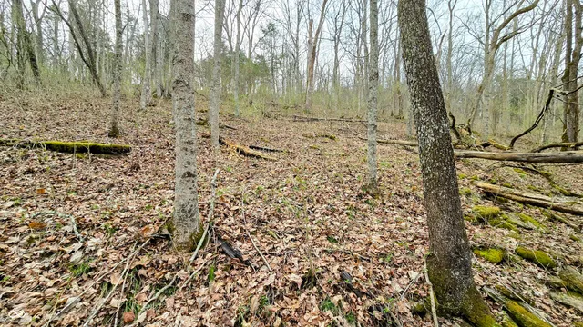 $274,000 | 0 Bursot Branch Road, Vevay, IN 47043