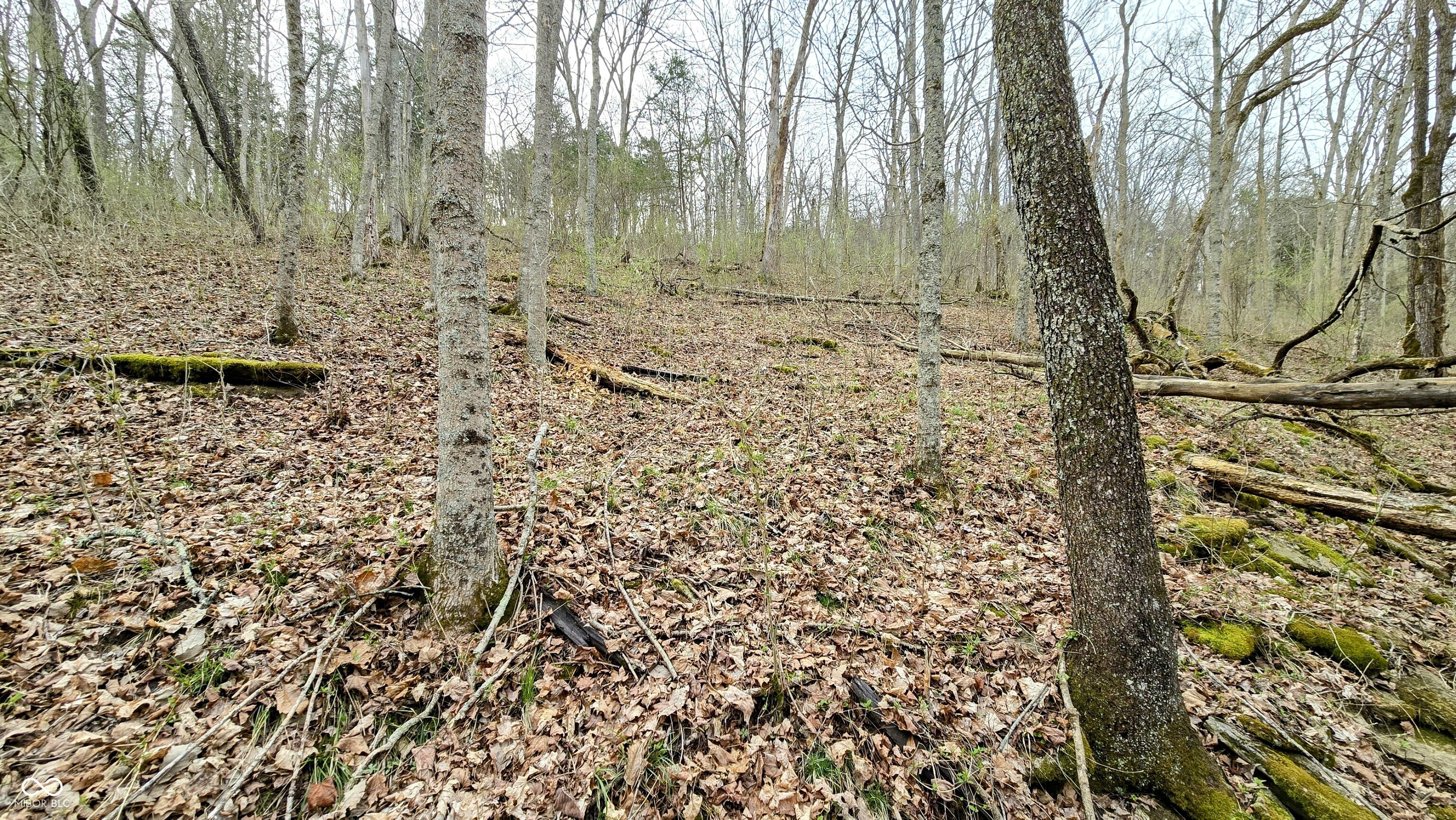 0 Bursot Branch Road Vevay, IN 47043 - Photo 22 of 45