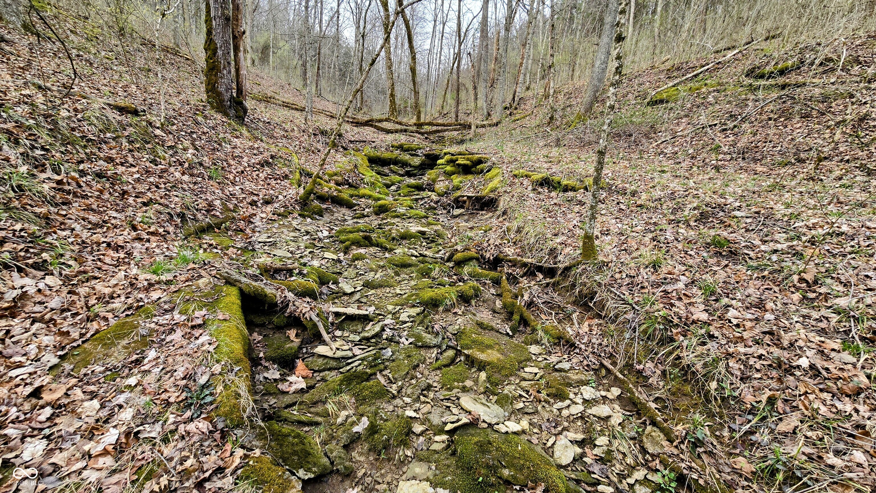 0 Bursot Branch Road Vevay, IN 47043 - Photo 23 of 45