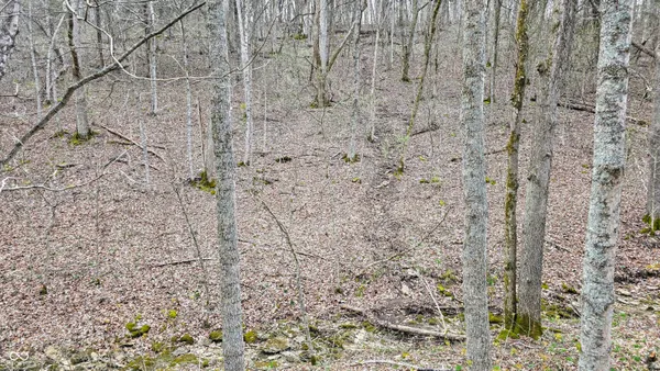 $274,000 | 0 Bursot Branch Road, Vevay, IN 47043