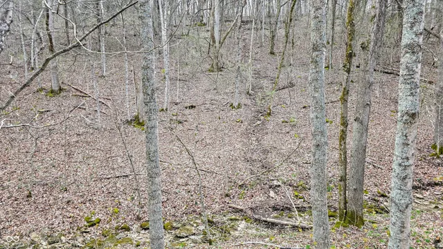 $274,000 | 0 Bursot Branch Road, Vevay, IN 47043