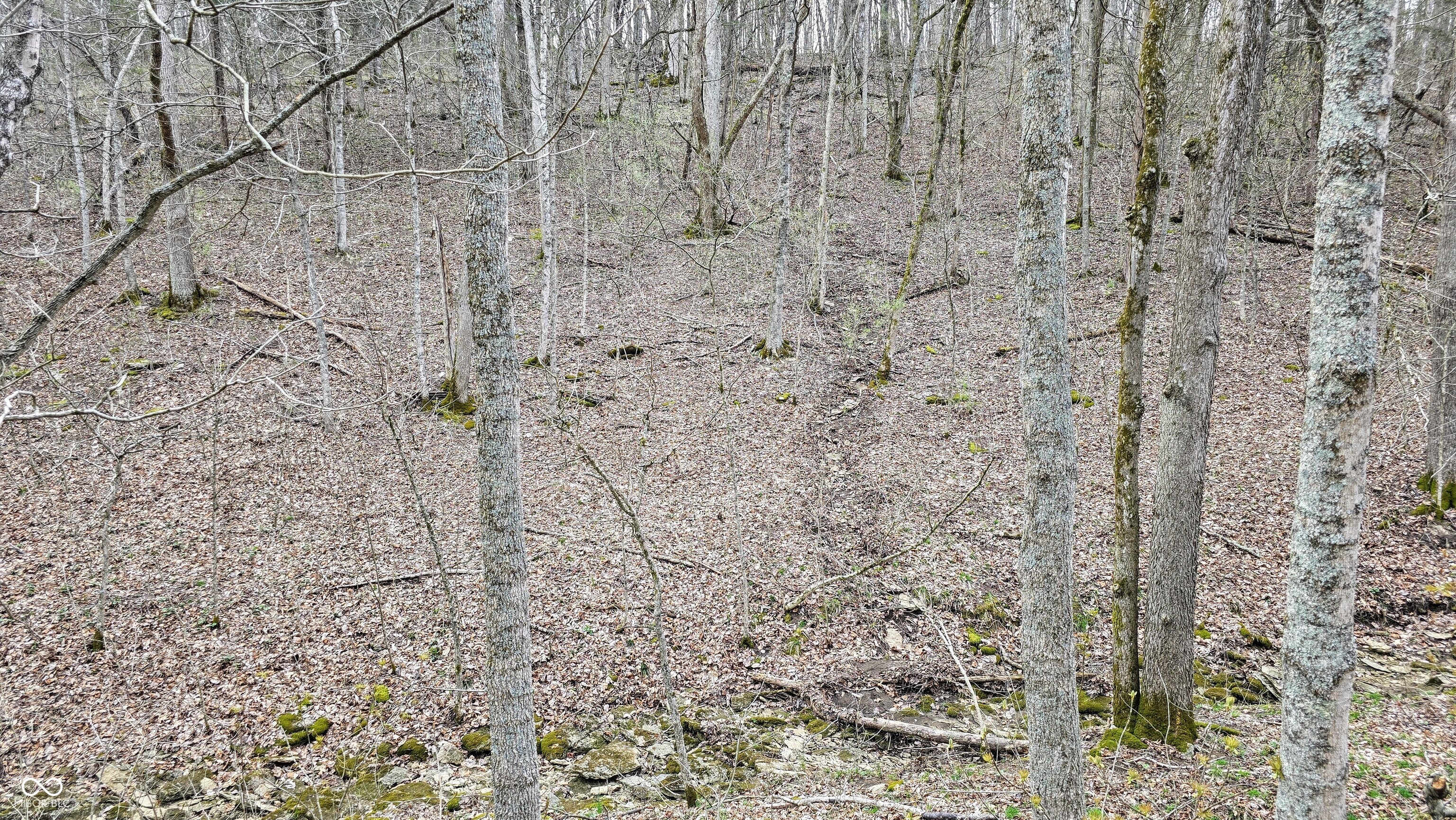 0 Bursot Branch Road Vevay, IN 47043 - Photo 25 of 45