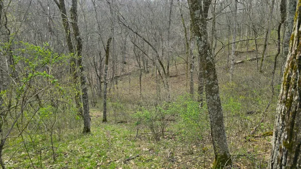 $274,000 | 0 Bursot Branch Road, Vevay, IN 47043