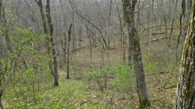 $274,000 | 0 Bursot Branch Road, Vevay, IN 47043