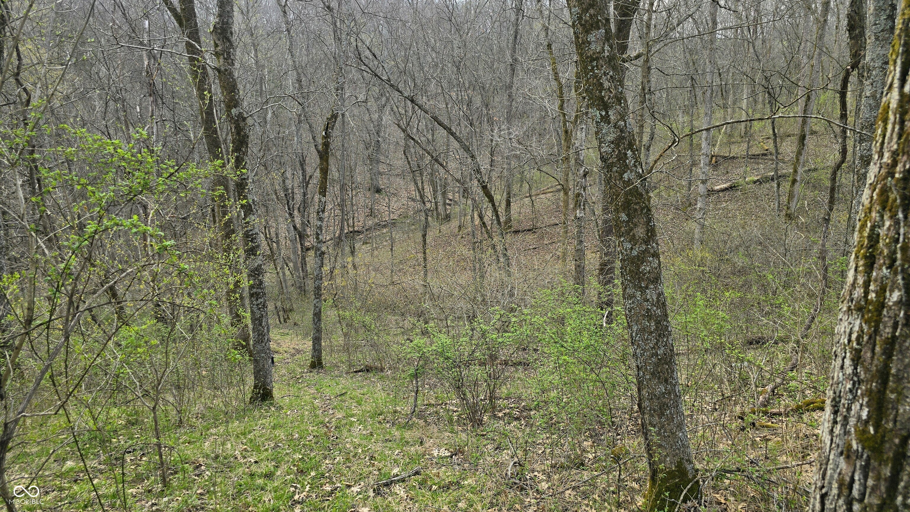 0 Bursot Branch Road Vevay, IN 47043 - Photo 26 of 45