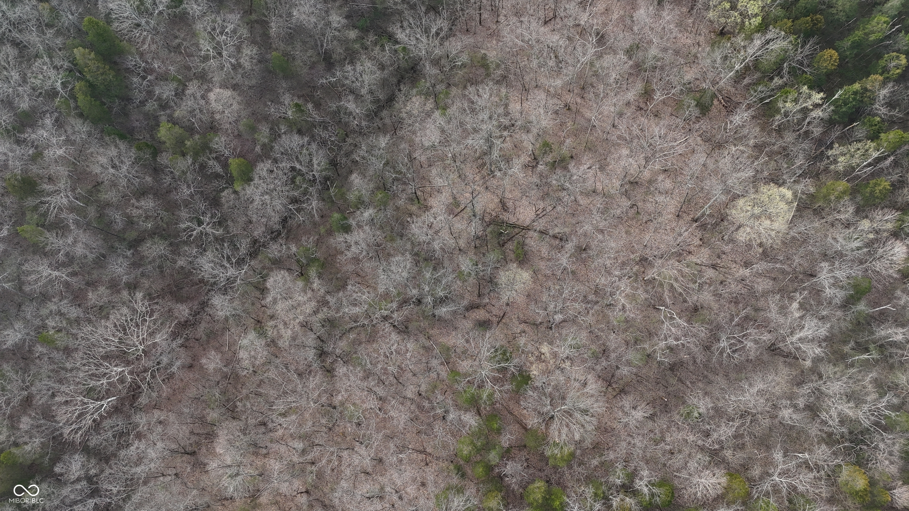 0 Bursot Branch Road Vevay, IN 47043 - Photo 30 of 45