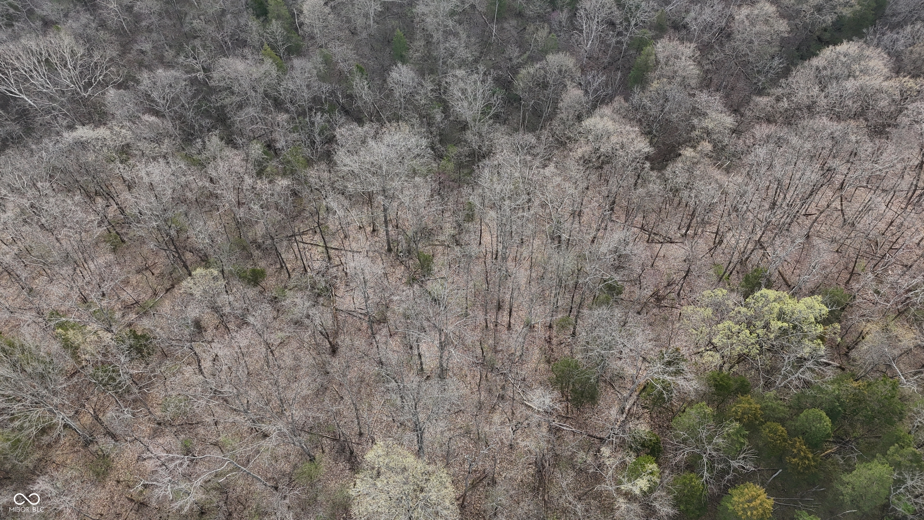 0 Bursot Branch Road Vevay, IN 47043 - Photo 31 of 45