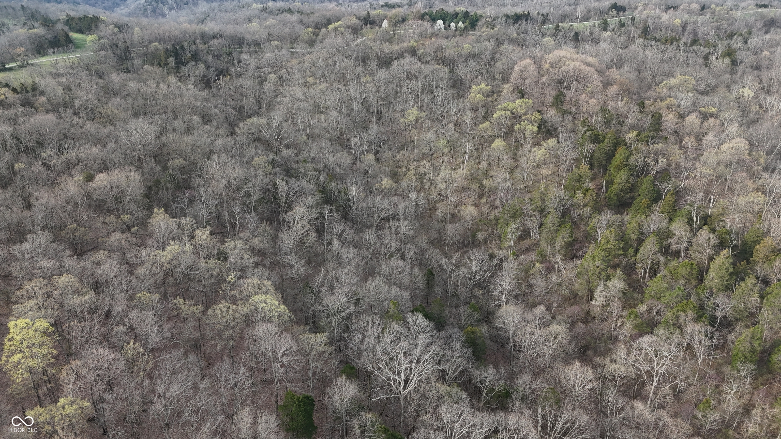 0 Bursot Branch Road Vevay, IN 47043 - Photo 32 of 45