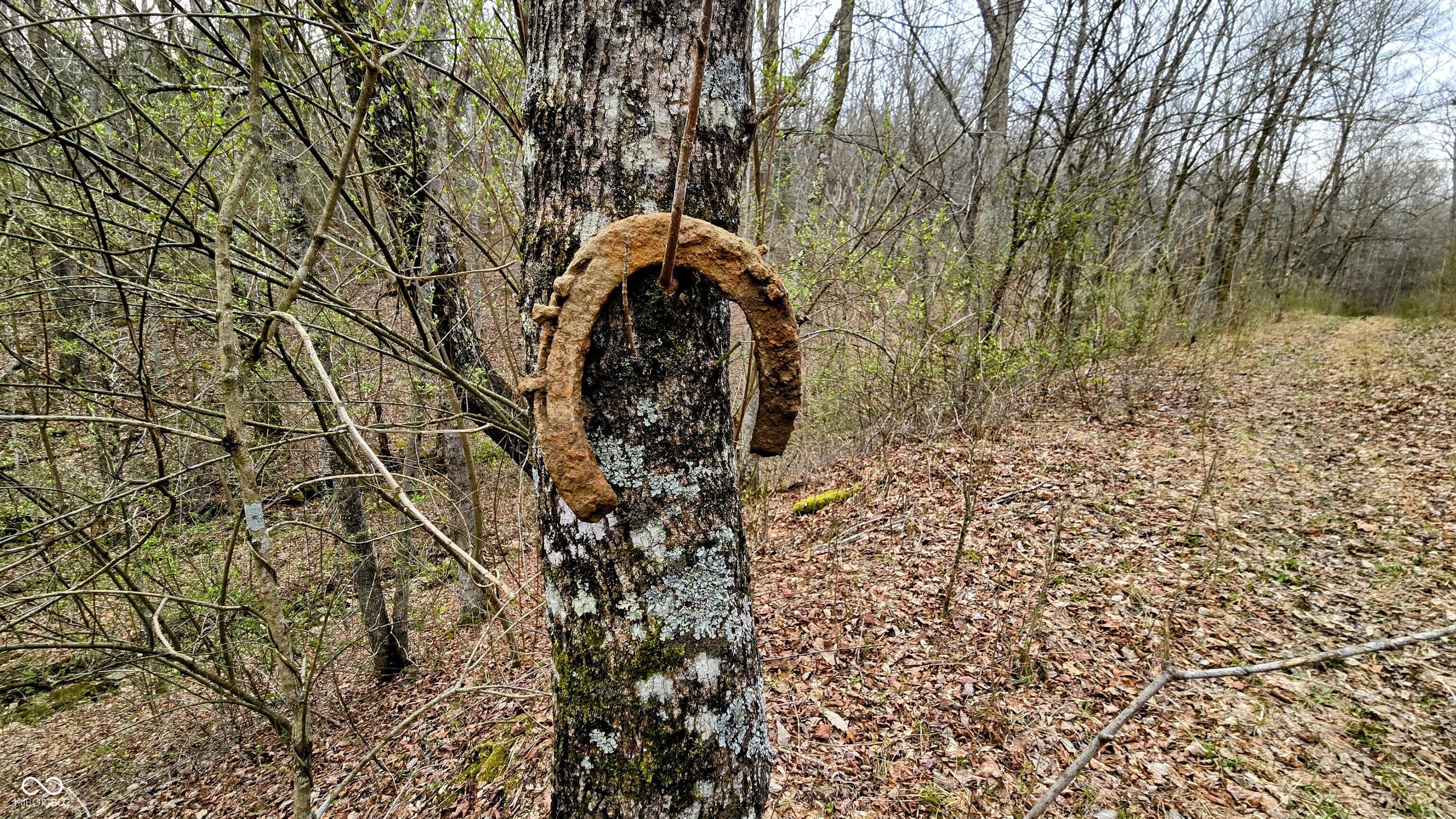 0 Bursot Branch Road Vevay, IN 47043 - Photo 10 of 45