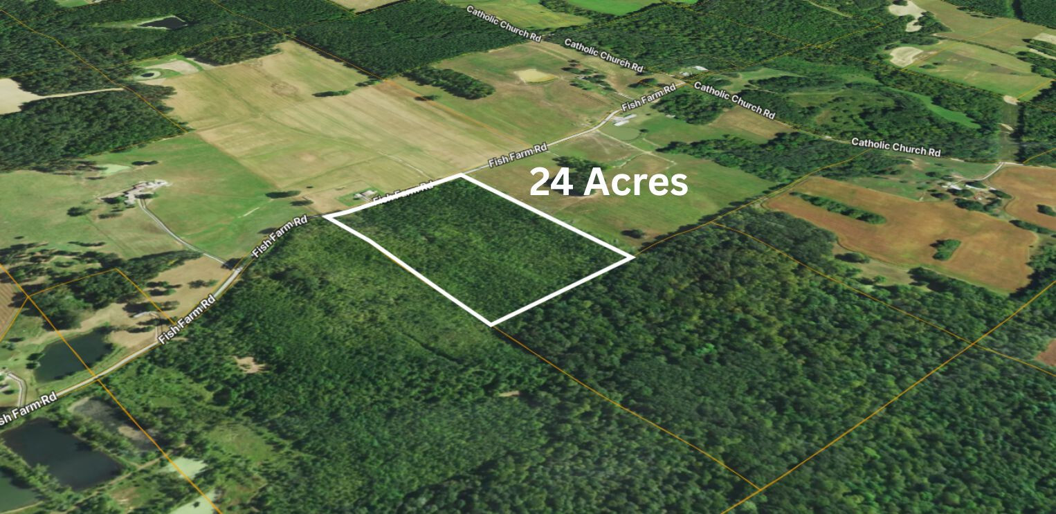 72 Fish Farm Road Golconda, IL 62938 - Photo 9 of 15