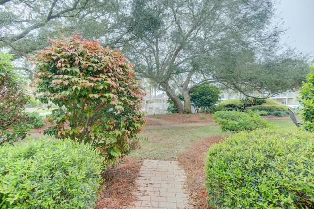 a view of a yard with plants and large trees