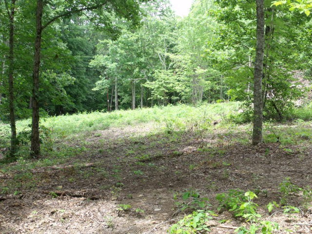 0 Garren Road Madisonville, TN 37354 - Photo 5 of 7 Gallery Image 5