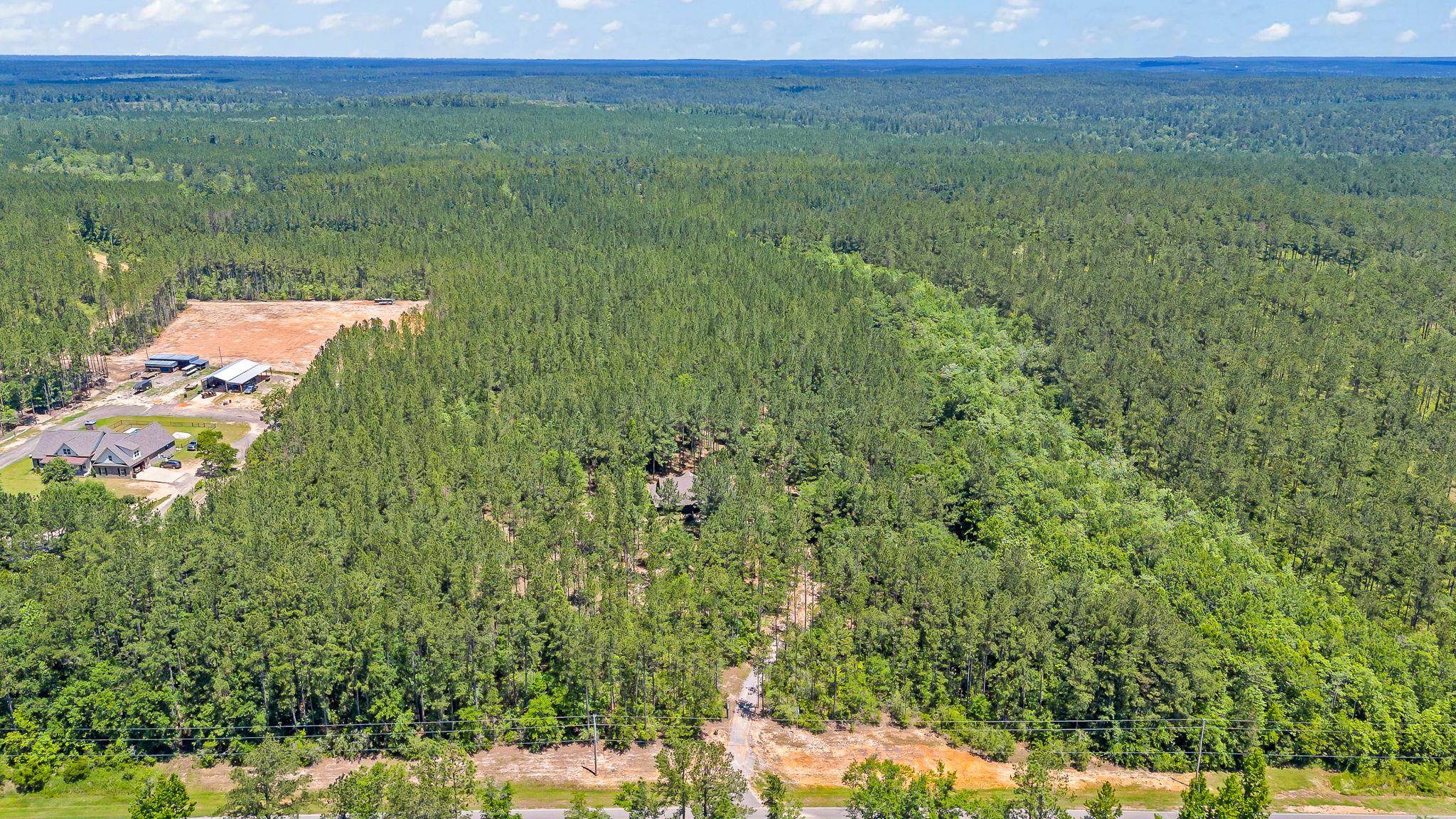 12449 Maytower Road Stockton, AL 36579 - Photo 22 of 70 Aerial View