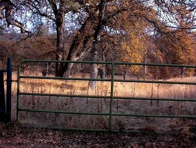 47353 Dunlap Road Miramonte, CA 93641 - Photo 11 of 12 Gallery Image 11