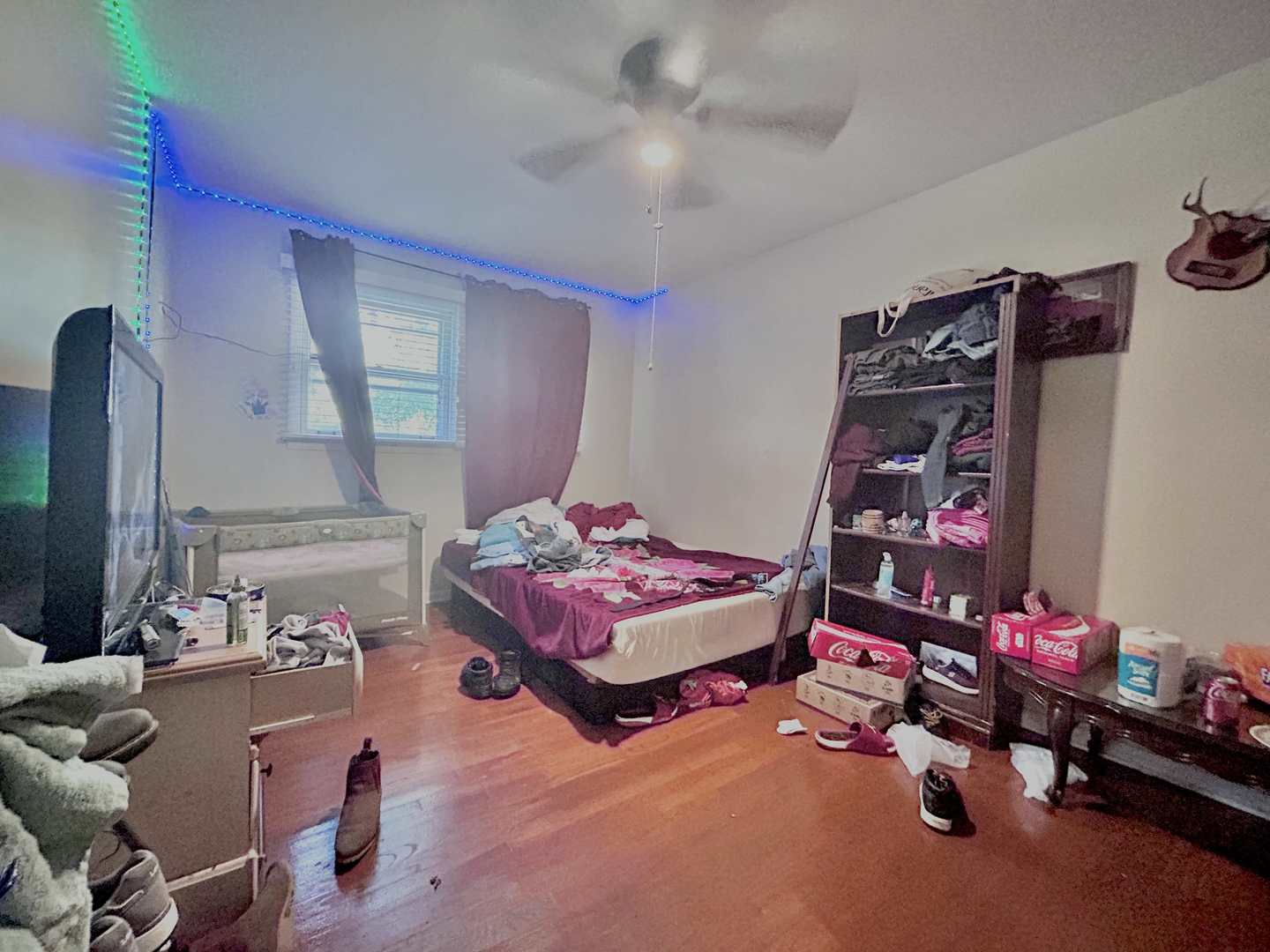 10 Adams Drive Addison, IL 60101 - Photo 7 of 12 a bedroom with furniture and a large window