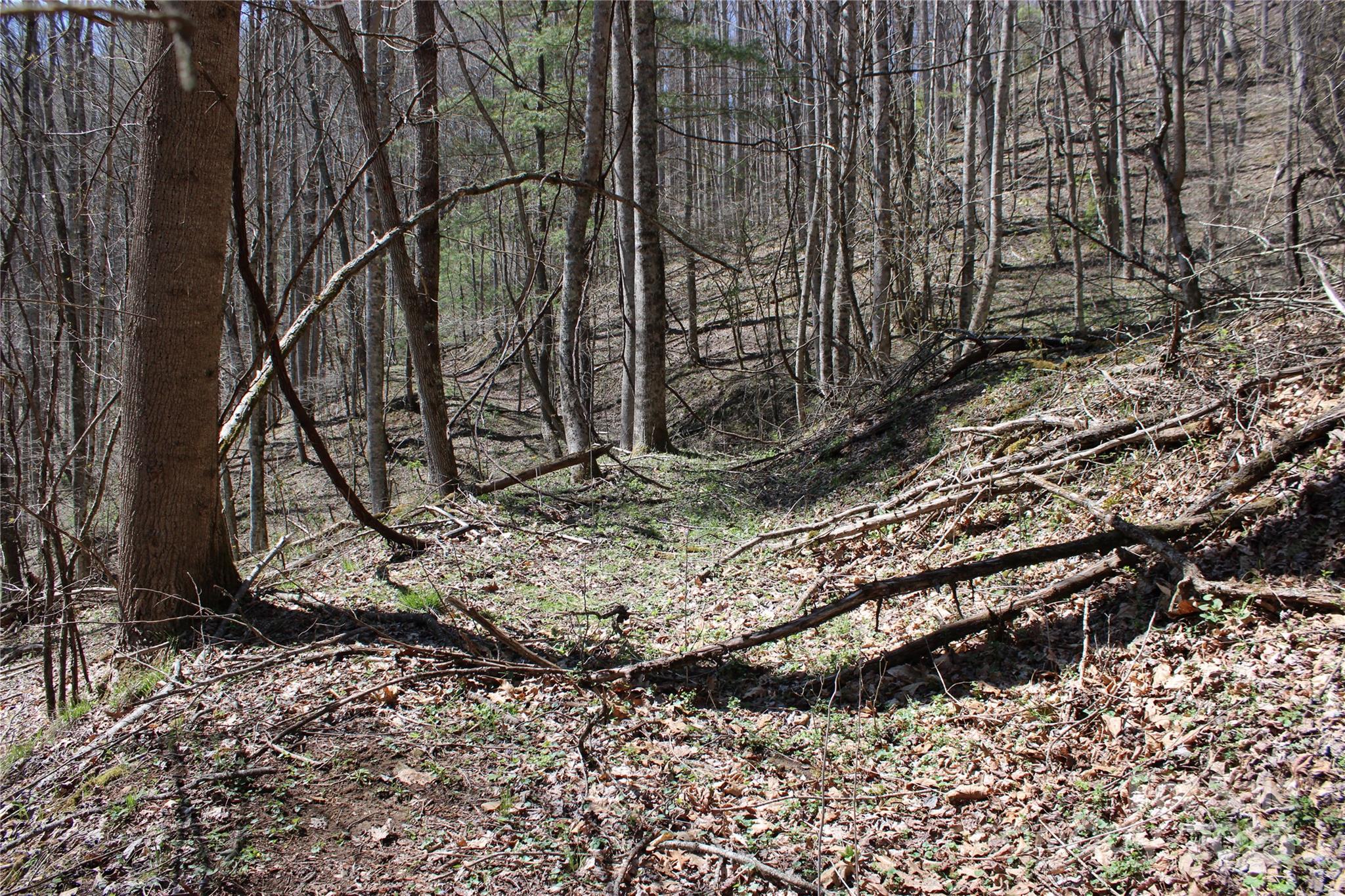 0 Laurel Valley Road Mars Hill, NC 28754 - Photo 13 of 21 Gallery Image 13