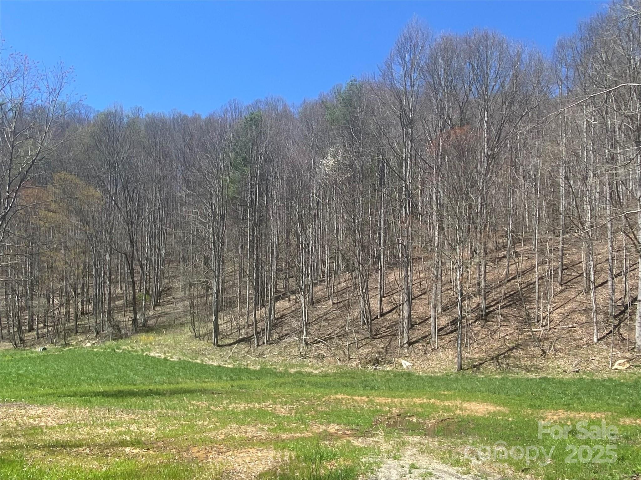 0 Laurel Valley Road Mars Hill, NC 28754 - Photo 3 of 21 Gallery Image 3