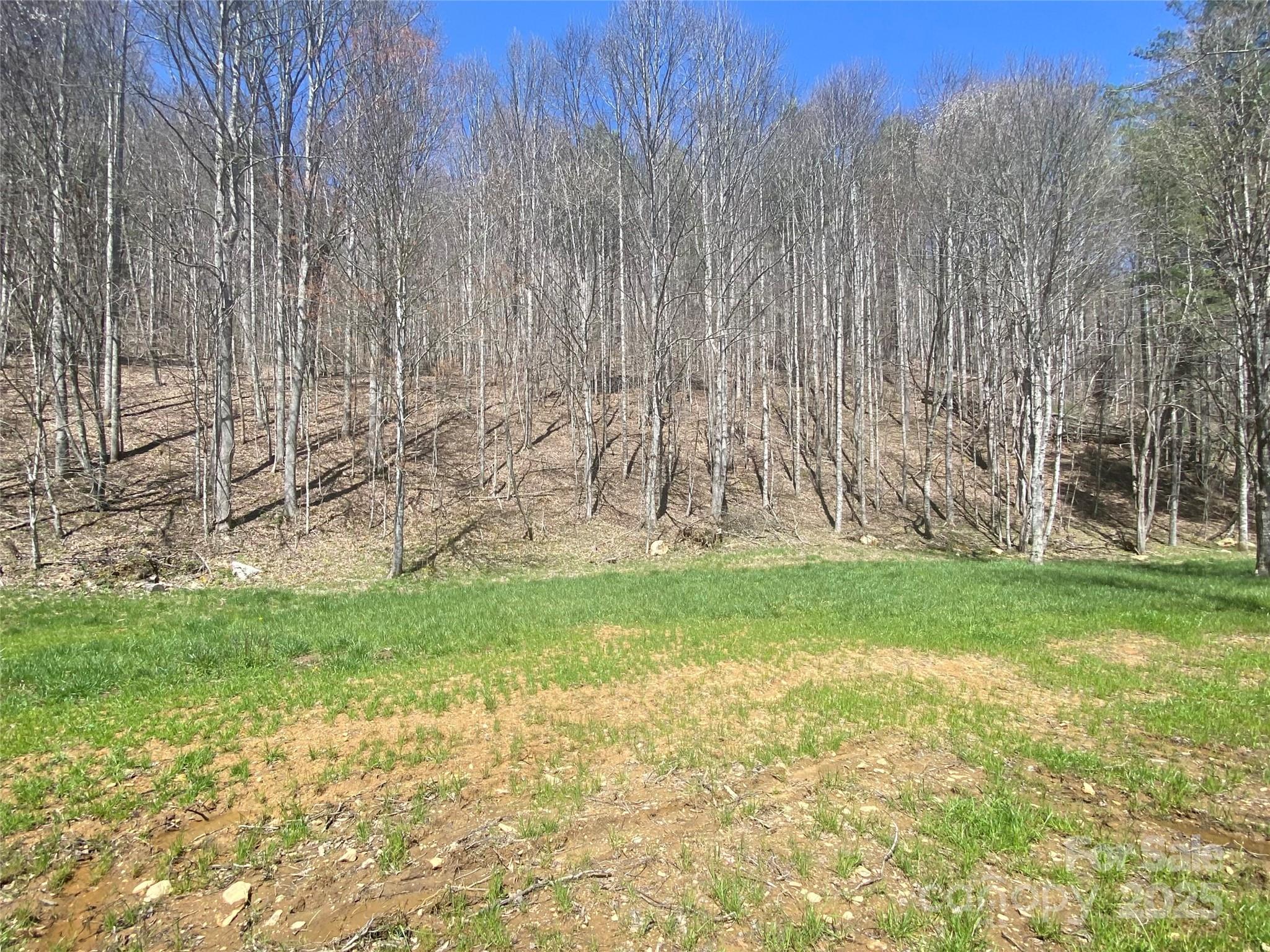 0 Laurel Valley Road Mars Hill, NC 28754 - Photo 6 of 21 Gallery Image 6