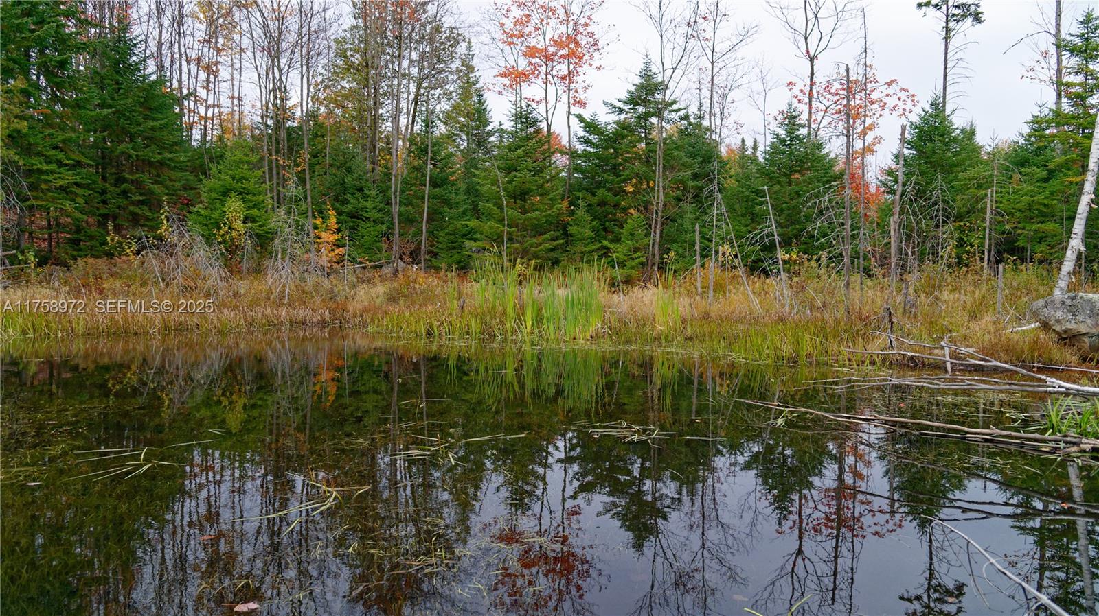 1150 10e Rang undefined, QC J0K 1Z0 - Photo 41 of 42