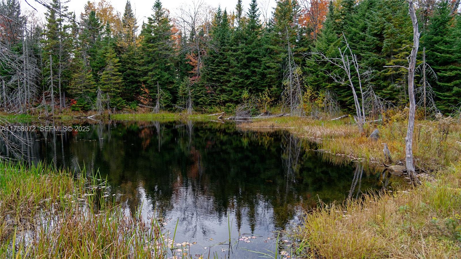 1150 10e Rang undefined, QC J0K 1Z0 - Photo 42 of 42 a view of lake from balcony