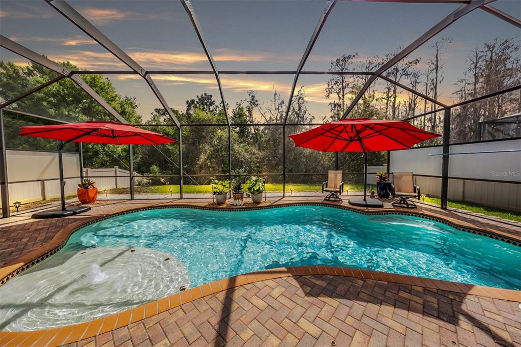 12902 Tikal Way Trinity, FL 34655 - Photo 3 of 43 a view of a patio with a table and chairs under an umbrella
