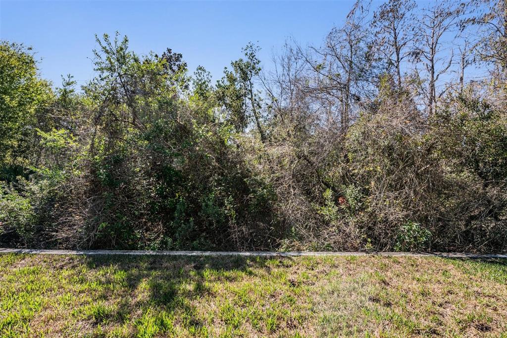 12902 Tikal Way Trinity, FL 34655 - Photo 36 of 43 a view of a small yard