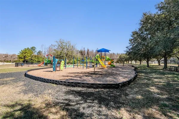 a park view with large trees