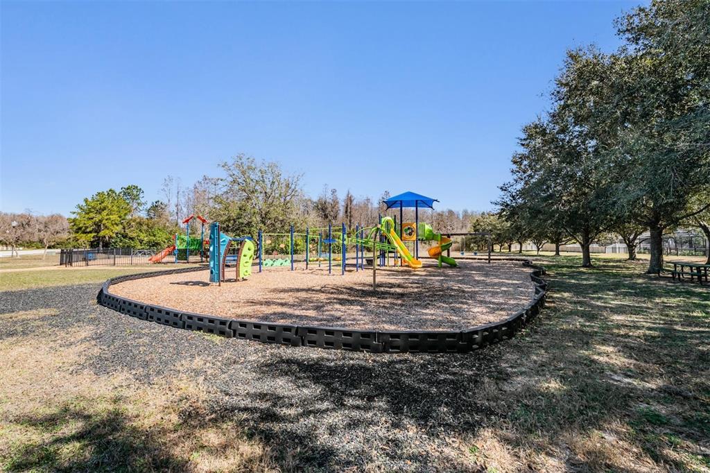 12902 Tikal Way Trinity, FL 34655 - Photo 39 of 43 a park view with large trees