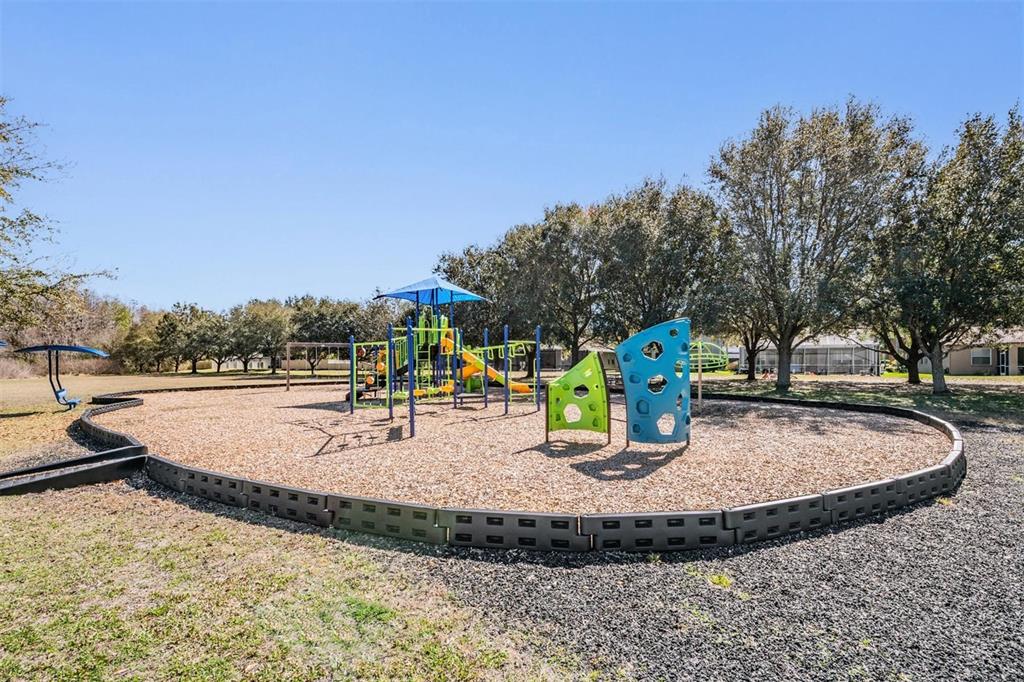 12902 Tikal Way Trinity, FL 34655 - Photo 40 of 43 a view of a swimming pool with a slide
