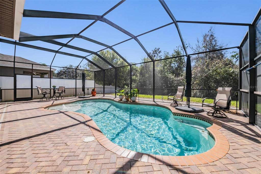 12902 Tikal Way Trinity, FL 34655 - Photo 4 of 43 a view of a swimming pool with a patio