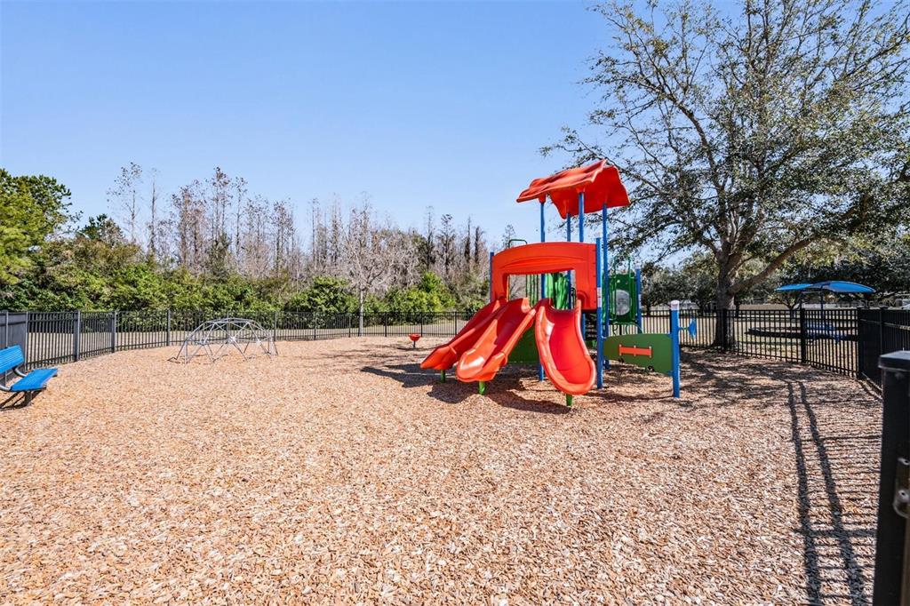 12902 Tikal Way Trinity, FL 34655 - Photo 41 of 43 a view of park with entertaining space