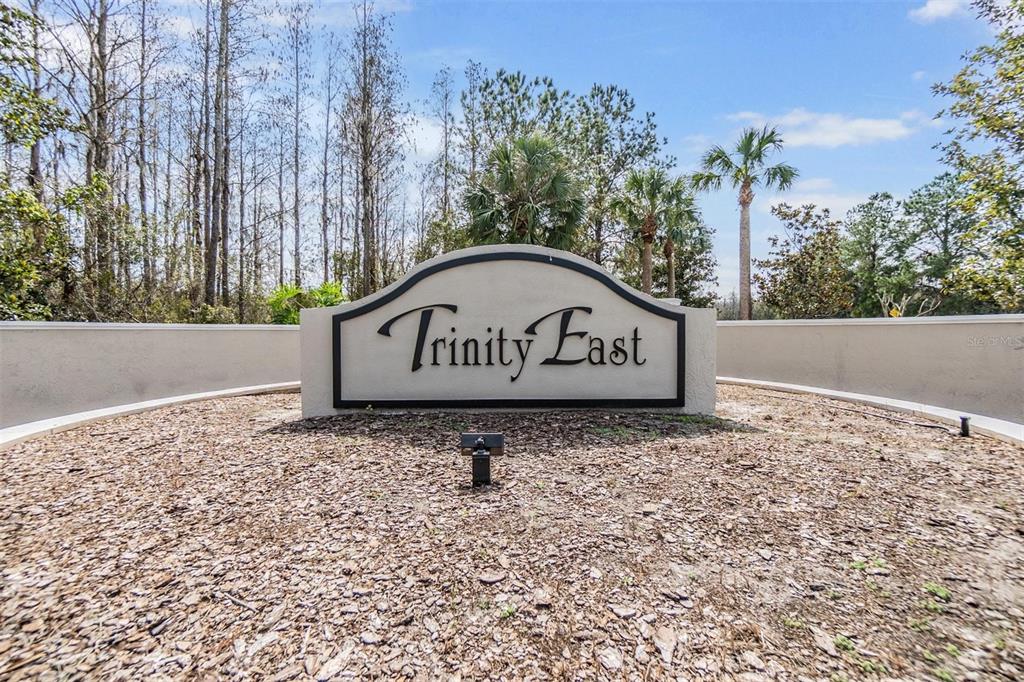 12902 Tikal Way Trinity, FL 34655 - Photo 43 of 43