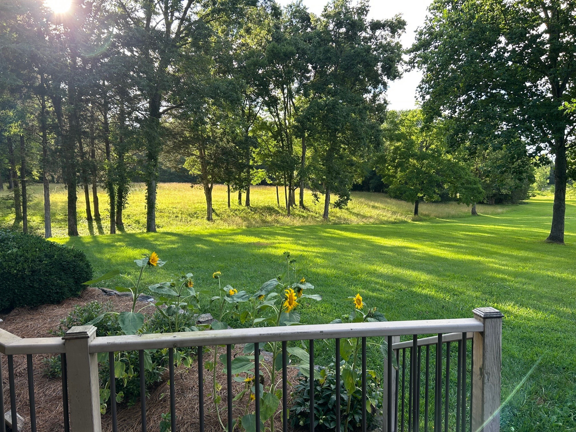 6960 Millersburg Road Christiana, TN 37037 - Photo 27 of 68 a view of a golf course with a trees