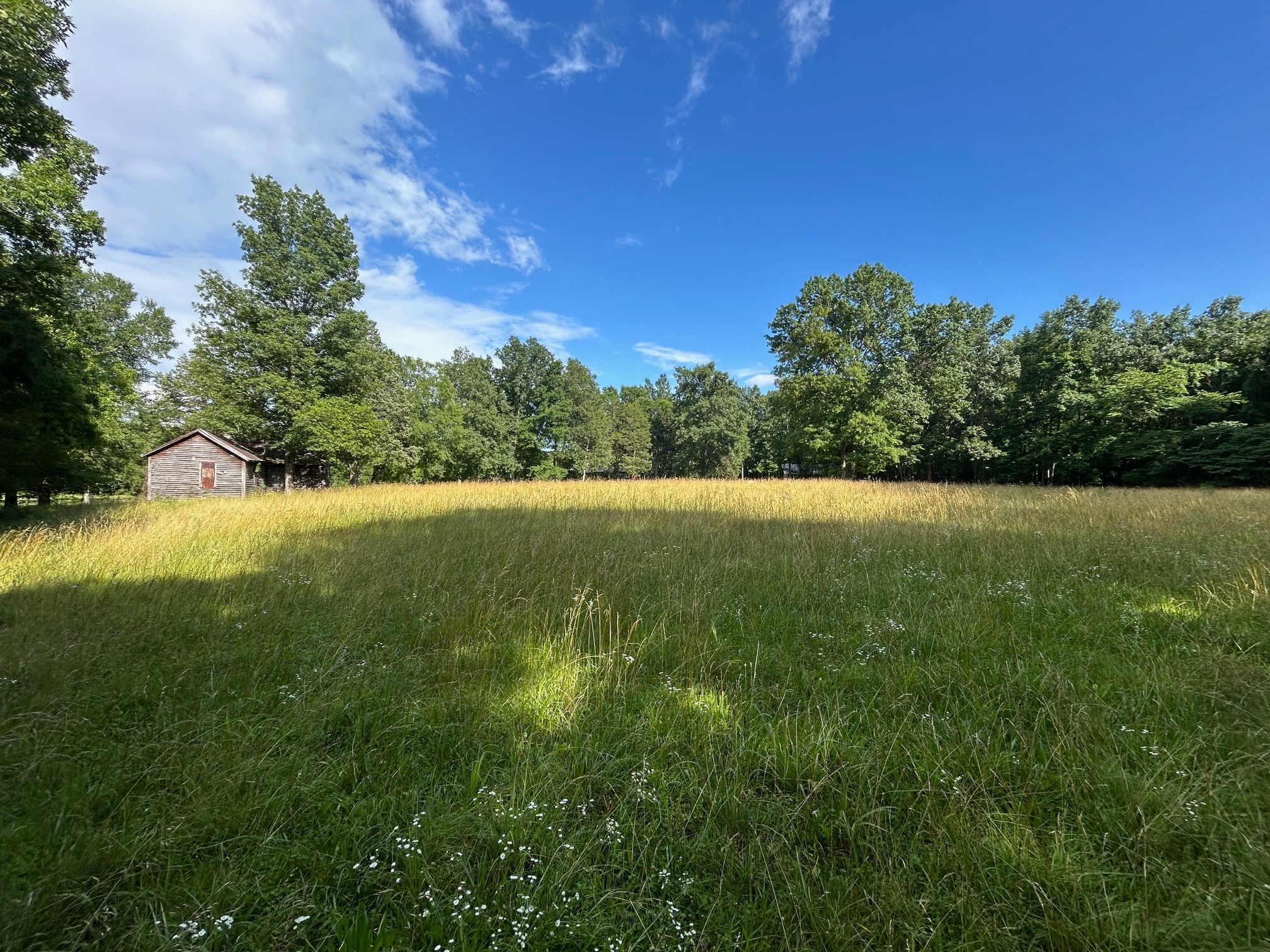 6960 Millersburg Road Christiana, TN 37037 - Photo 30 of 68 a view of an outdoor space and a yard