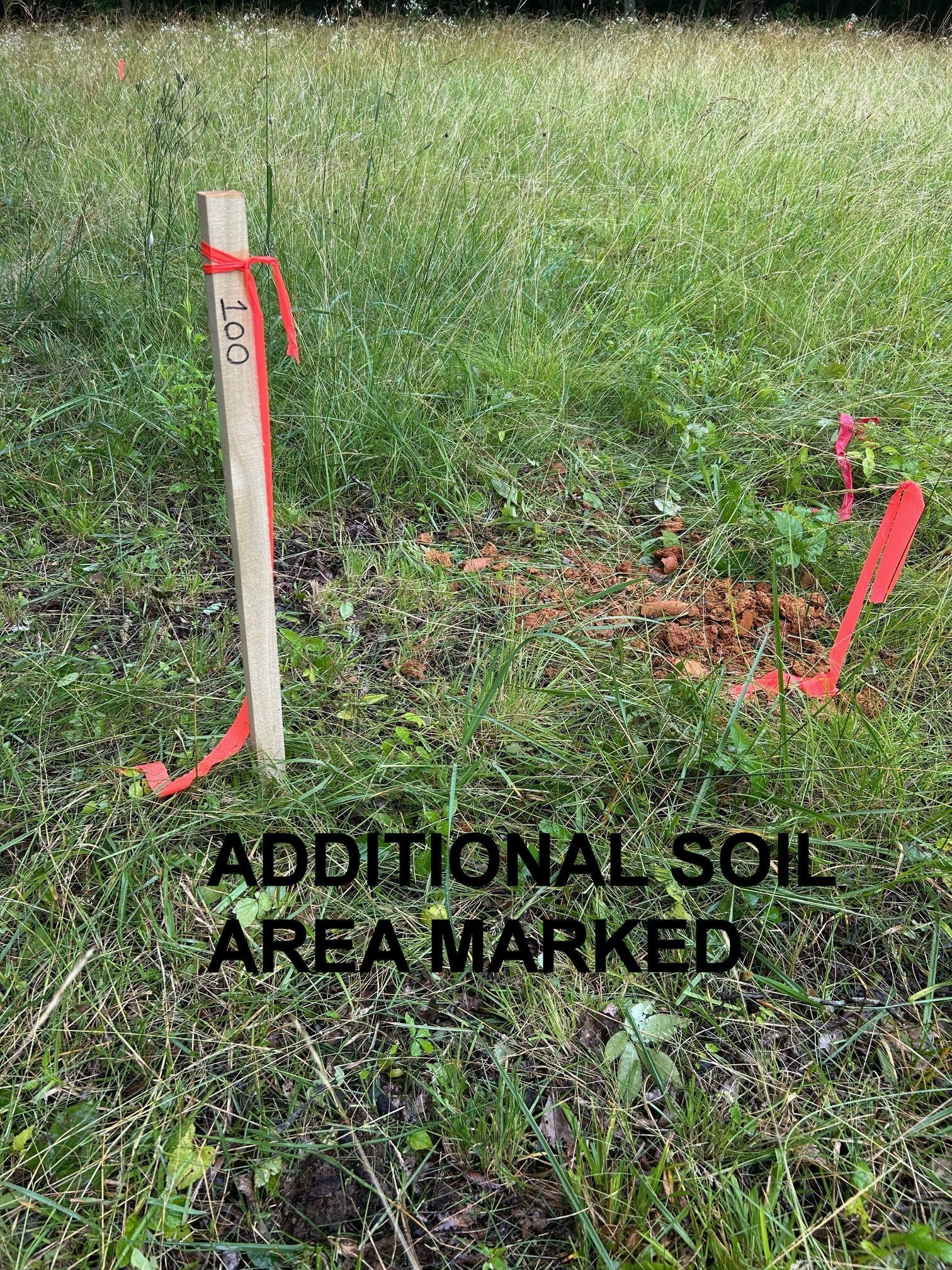 6960 Millersburg Road Christiana, TN 37037 - Photo 67 of 68