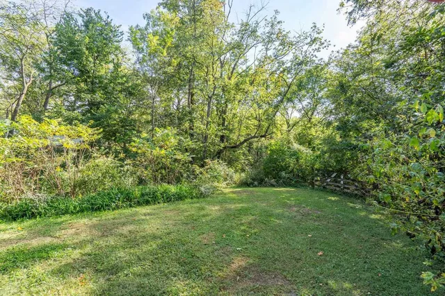 a view of backyard with green space