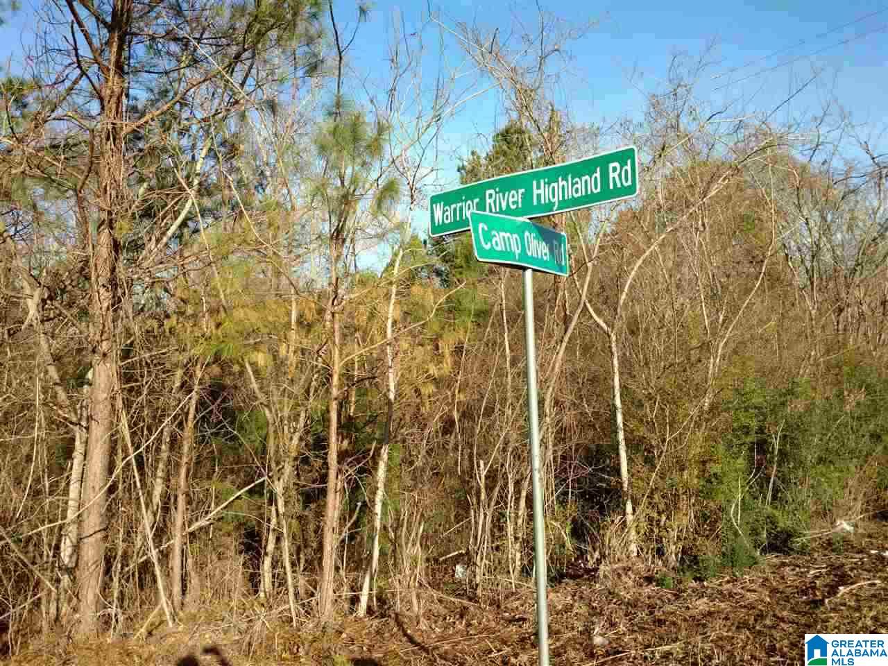 11680 Camp Oliver Road Adger, AL 35006 - Photo 1 of 1