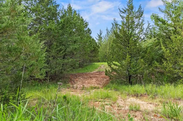 a backyard of a house with lots of green space and outdoor seating