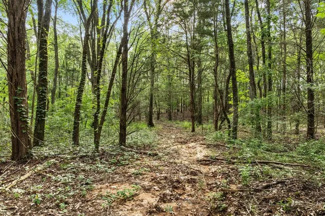 a view of outdoor space with lots of trees