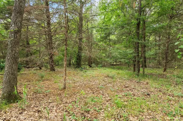 a view of outdoor space and trees