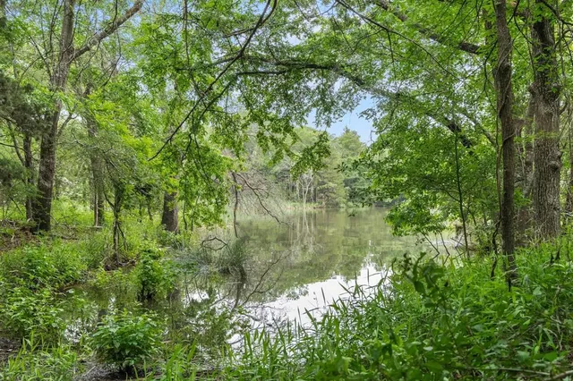 a view of a lake with a tree